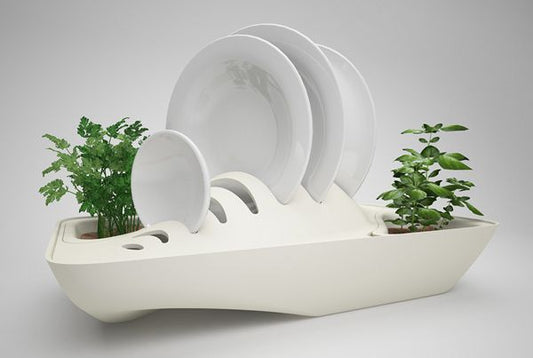 Biofilia en productos