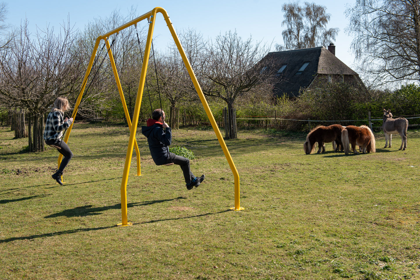 Serious swing